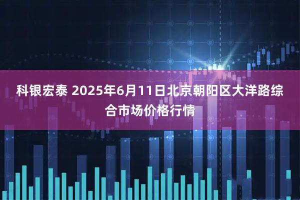 科银宏泰 2025年6月11日北京朝阳区大洋路综合市场价格行情