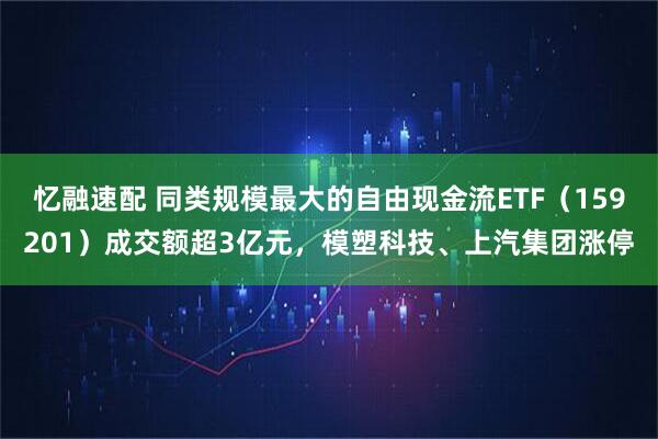 忆融速配 同类规模最大的自由现金流ETF（159201）成交额超3亿元，模塑科技、上汽集团涨停