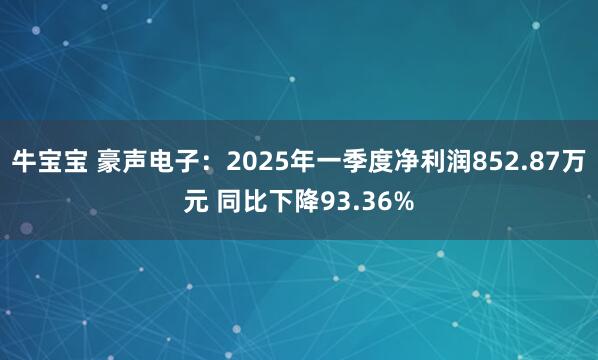 牛宝宝 豪声电子：2025年一季度净利润852.87万元 同比下降93.36%