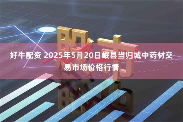 好牛配资 2025年5月20日岷县当归城中药材交易市场价格行情